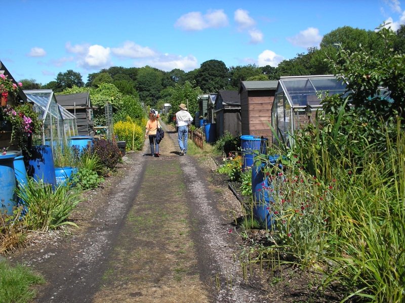 Sefton Park Allotments